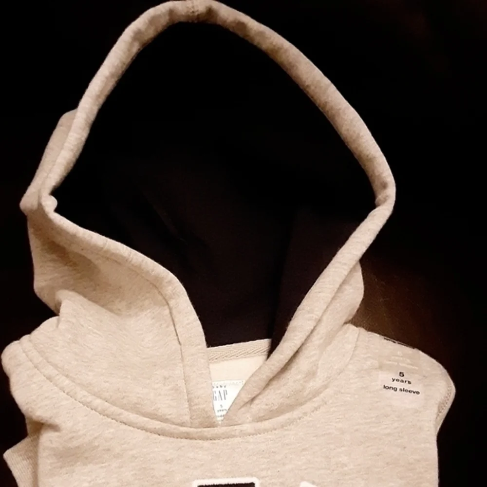 Baby GAP Hoodie Sweatshirt